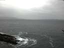 ./images/koeye/fitz-hugh/20170116/fitz-hugh20170116_105703.jpg