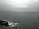 ./images/koeye/fitz-hugh/20170116/fitz-hugh20170116_112702.jpg