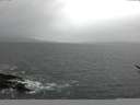 ./images/koeye/fitz-hugh/20170116/fitz-hugh20170116_120001.jpg