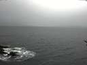 ./images/koeye/fitz-hugh/20170116/fitz-hugh20170116_121202.jpg