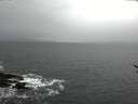 ./images/koeye/fitz-hugh/20170116/fitz-hugh20170116_121501.jpg