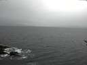 ./images/koeye/fitz-hugh/20170116/fitz-hugh20170116_121802.jpg