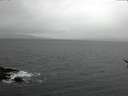./images/koeye/fitz-hugh/20170116/fitz-hugh20170116_122401.jpg