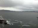 ./images/koeye/fitz-hugh/20170117/fitz-hugh20170117_080003.jpg
