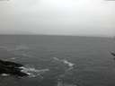 ./images/koeye/fitz-hugh/20170117/fitz-hugh20170117_085703.jpg