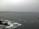 ./images/koeye/fitz-hugh/20170117/fitz-hugh20170117_095703.jpg