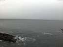 ./images/koeye/fitz-hugh/20170117/fitz-hugh20170117_100001.jpg