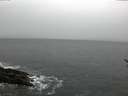 ./images/koeye/fitz-hugh/20170117/fitz-hugh20170117_102702.jpg