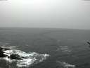 ./images/koeye/fitz-hugh/20170117/fitz-hugh20170117_115703.jpg