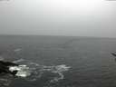 ./images/koeye/fitz-hugh/20170117/fitz-hugh20170117_122102.jpg