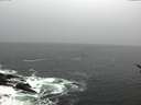 ./images/koeye/fitz-hugh/20170117/fitz-hugh20170117_122402.jpg