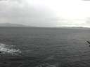 ./images/koeye/fitz-hugh/20170117/fitz-hugh20170117_155702.jpg