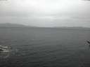 ./images/koeye/fitz-hugh/20170117/fitz-hugh20170117_165703.jpg