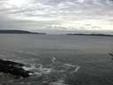./images/koeye/fitz-hugh/20170118/fitz-hugh20170118_105703.jpg
