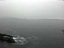 ./images/koeye/fitz-hugh/20170118/fitz-hugh20170118_122703.jpg