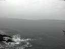 ./images/koeye/fitz-hugh/20170118/fitz-hugh20170118_125703.jpg