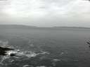 ./images/koeye/fitz-hugh/20170118/fitz-hugh20170118_135703.jpg