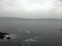 ./images/koeye/fitz-hugh/20170118/fitz-hugh20170118_140002.jpg