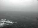 ./images/koeye/fitz-hugh/20170118/fitz-hugh20170118_145702.jpg