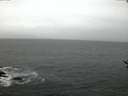 ./images/koeye/fitz-hugh/20170119/fitz-hugh20170119_080005.jpg