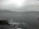 ./images/koeye/fitz-hugh/20170119/fitz-hugh20170119_112701.jpg