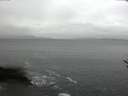 ./images/koeye/fitz-hugh/20170119/fitz-hugh20170119_115701.jpg