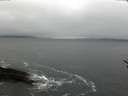 ./images/koeye/fitz-hugh/20170119/fitz-hugh20170119_122401.jpg