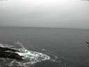 ./images/koeye/fitz-hugh/20170119/fitz-hugh20170119_132703.jpg
