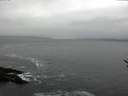 ./images/koeye/fitz-hugh/20170119/fitz-hugh20170119_142702.jpg
