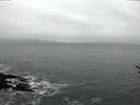 ./images/koeye/fitz-hugh/20170119/fitz-hugh20170119_145702.jpg