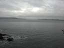 ./images/koeye/fitz-hugh/20170119/fitz-hugh20170119_160002.jpg