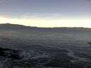 ./images/koeye/fitz-hugh/20170120/fitz-hugh20170120_102701.jpg