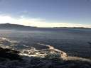 ./images/koeye/fitz-hugh/20170120/fitz-hugh20170120_120002.jpg