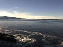 ./images/koeye/fitz-hugh/20170120/fitz-hugh20170120_121802.jpg
