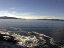 ./images/koeye/fitz-hugh/20170120/fitz-hugh20170120_125701.jpg