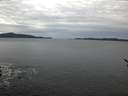 ./images/koeye/fitz-hugh/20170121/fitz-hugh20170121_082703.jpg