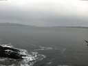 ./images/koeye/fitz-hugh/20170121/fitz-hugh20170121_125701.jpg