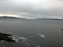 ./images/koeye/fitz-hugh/20170121/fitz-hugh20170121_132703.jpg