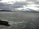 ./images/koeye/fitz-hugh/20170121/fitz-hugh20170121_145702.jpg