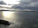 ./images/koeye/fitz-hugh/20170121/fitz-hugh20170121_155703.jpg