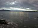 ./images/koeye/fitz-hugh/20170121/fitz-hugh20170121_165703.jpg