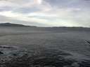 ./images/koeye/fitz-hugh/20170122/fitz-hugh20170122_102701.jpg