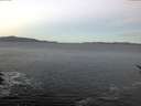 ./images/koeye/fitz-hugh/20170123/fitz-hugh20170123_080002.jpg
