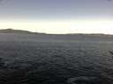 ./images/koeye/fitz-hugh/20170123/fitz-hugh20170123_102702.jpg