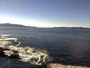 ./images/koeye/fitz-hugh/20170123/fitz-hugh20170123_125702.jpg
