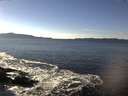 ./images/koeye/fitz-hugh/20170123/fitz-hugh20170123_135701.jpg