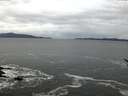 ./images/koeye/fitz-hugh/20170124/fitz-hugh20170124_075702.jpg