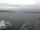 ./images/koeye/fitz-hugh/20170124/fitz-hugh20170124_082703.jpg