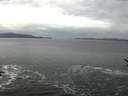 ./images/koeye/fitz-hugh/20170124/fitz-hugh20170124_092702.jpg