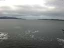 ./images/koeye/fitz-hugh/20170124/fitz-hugh20170124_095701.jpg